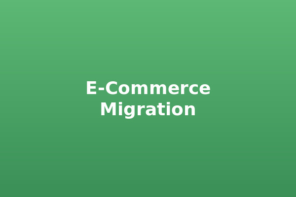 E-Commerce Site Migration & Optimization
